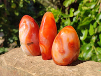 Polished Carnelian Agate Standing Free Forms x 6 From Madagascar - Toprock Gemstones and Minerals 