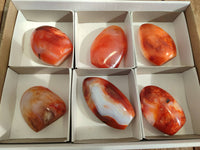 Polished Carnelian Agate Standing Free Forms x 6 From Madagascar - Toprock Gemstones and Minerals 