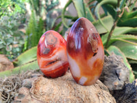 Polished Carnelian Agate Standing Free Forms x 6 From Madagascar - Toprock Gemstones and Minerals 