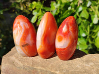 Polished Carnelian Agate Standing Free Forms x 6 From Madagascar - Toprock Gemstones and Minerals 