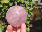 Polished Rose Quartz Spheres x 4 From Madagascar - Toprock Gemstones and Minerals 