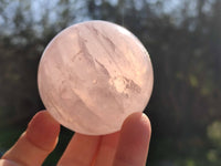 Polished Rose Quartz Spheres x 4 From Madagascar