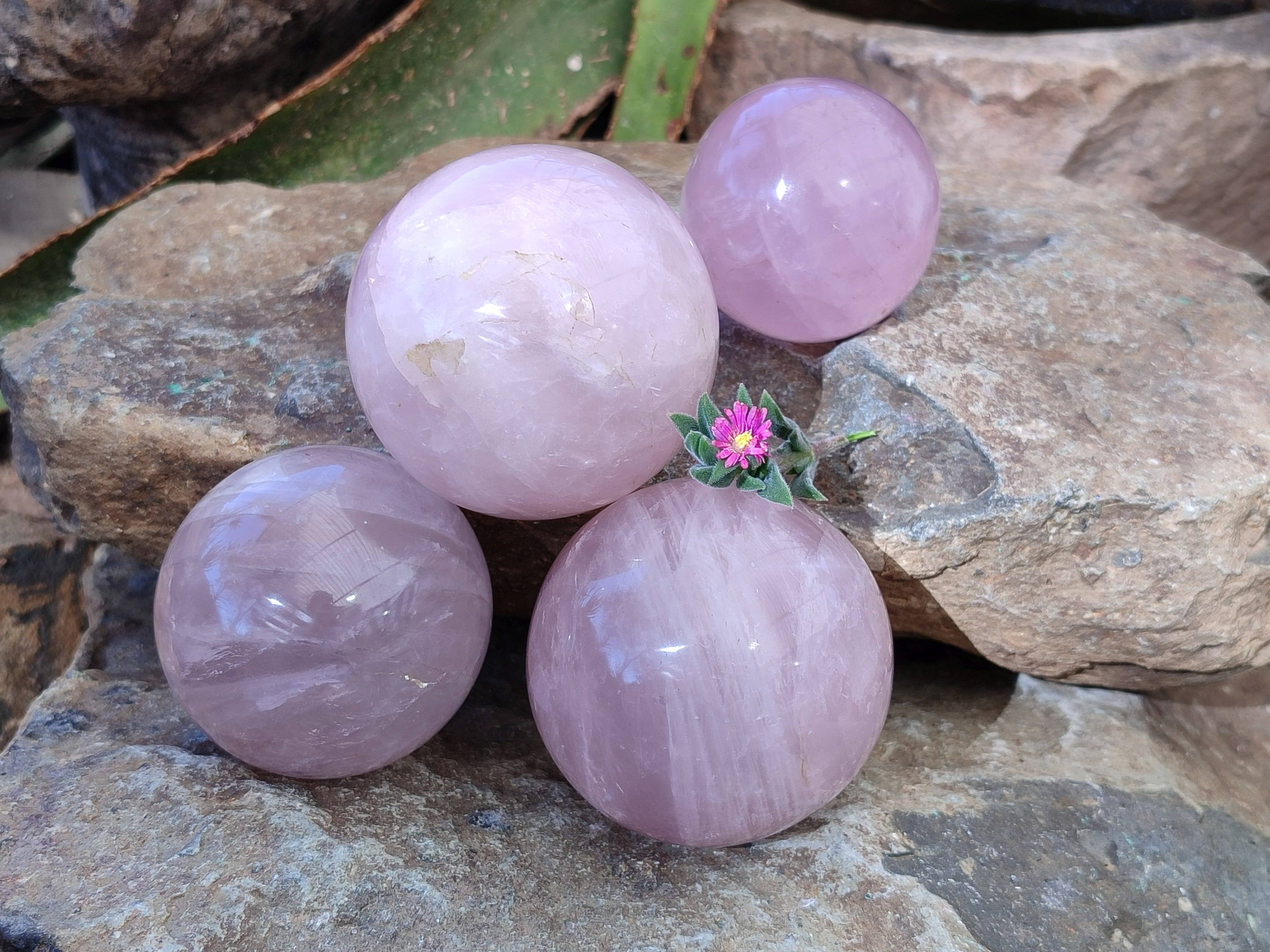 Polished Rose Quartz Spheres x 4 From Madagascar - Toprock Gemstones and Minerals 