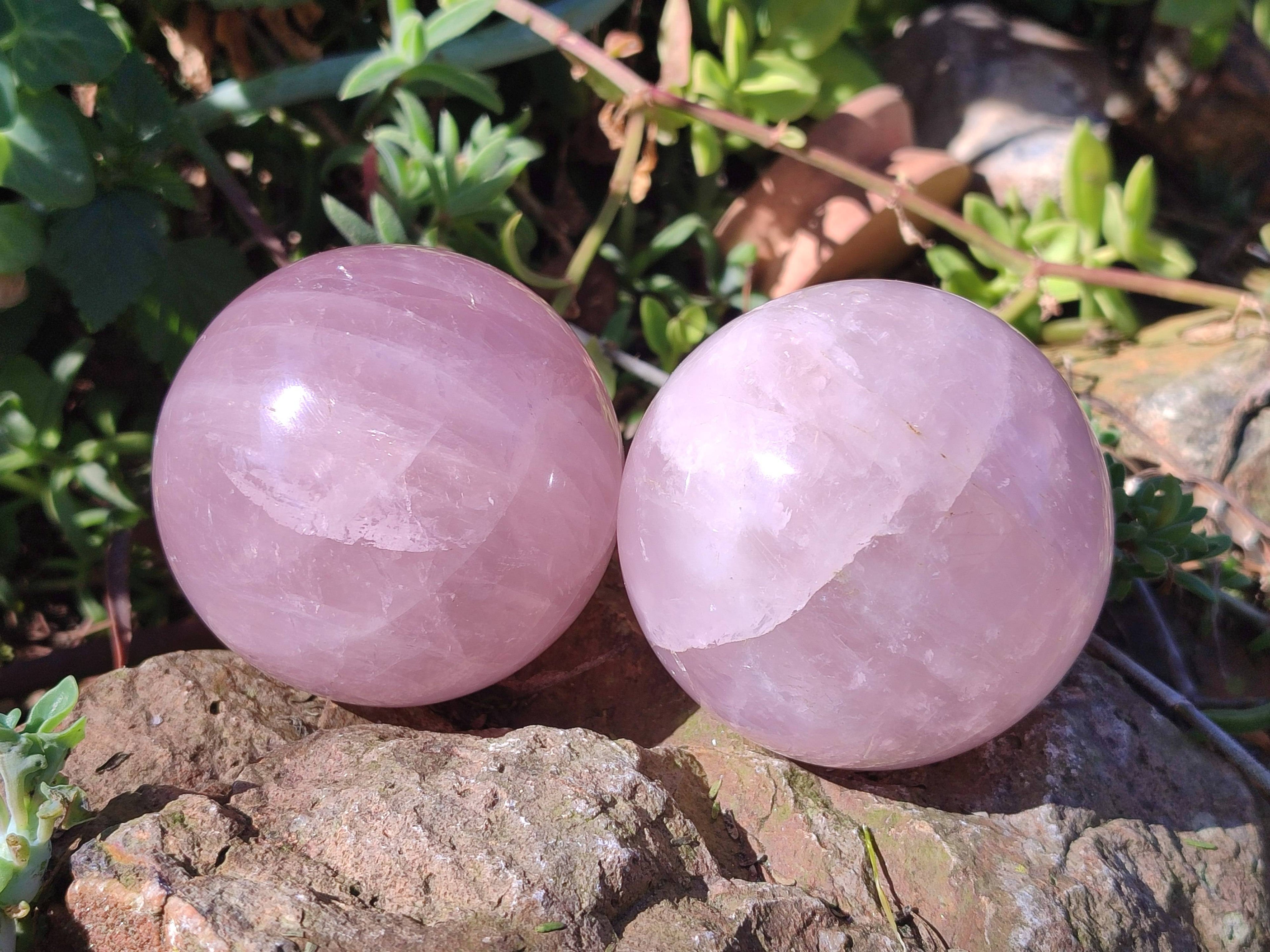 Polished Rose Quartz Spheres x 4 From Madagascar - Toprock Gemstones and Minerals 