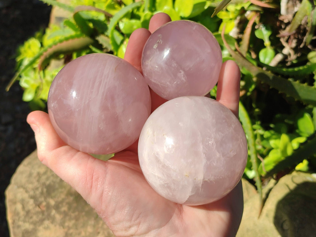 Polished Rose Quartz Spheres x 4 From Madagascar - Toprock Gemstones and Minerals 