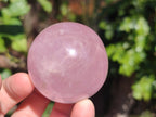 Polished Rose Quartz Spheres x 4 From Madagascar - Toprock Gemstones and Minerals 