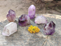 Polished Window Amethyst Crystals x 6 From Madagascar