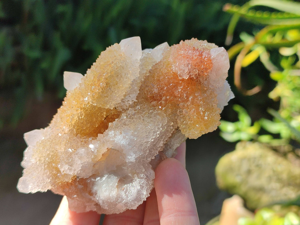 Natural Spirit Quartz Clusters x 6 From South Africa - Toprock Gemstones and Minerals 