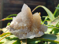 Natural Spirit Quartz Clusters x 6 From South Africa