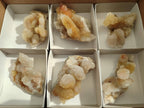 Natural Spirit Quartz Clusters x 6 From South Africa - Toprock Gemstones and Minerals 