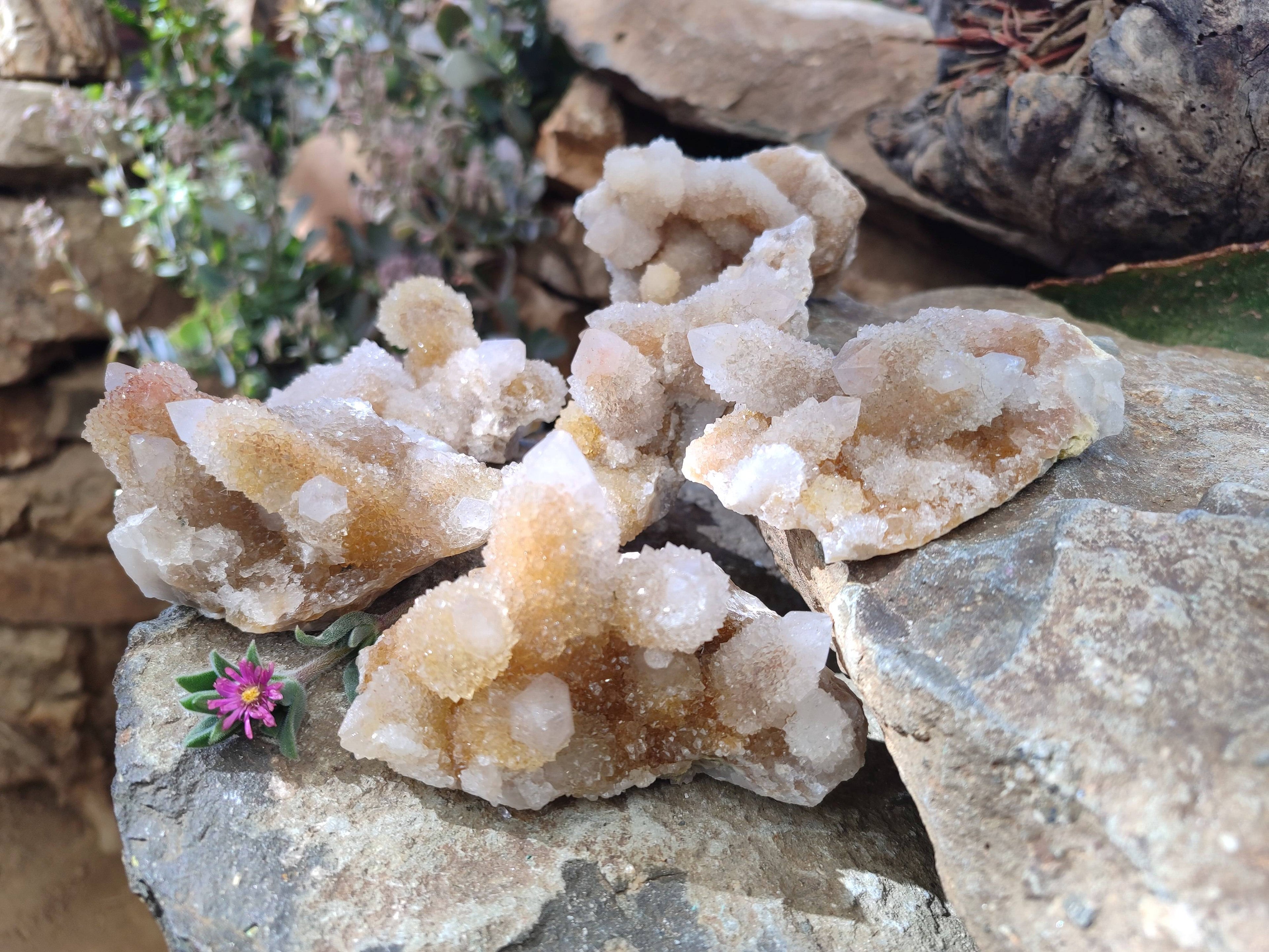 Natural Spirit Quartz Clusters x 6 From South Africa - Toprock Gemstones and Minerals 