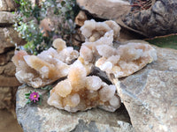 Natural Spirit Quartz Clusters x 6 From South Africa