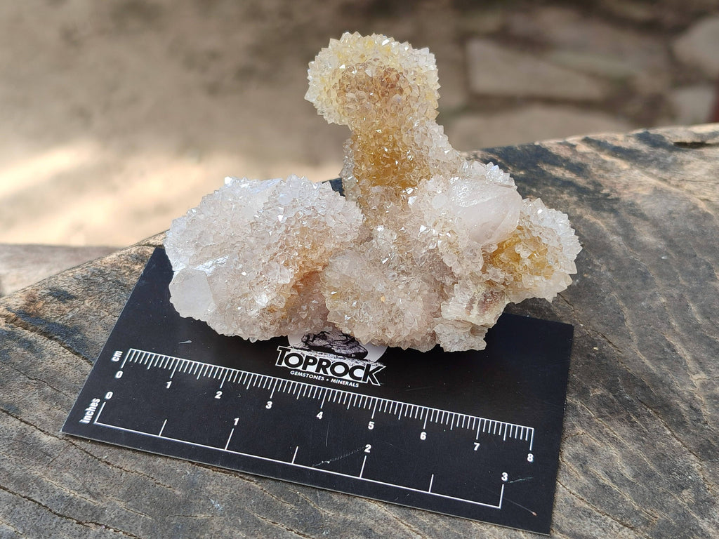 Natural Spirit Quartz Clusters x 6 From South Africa - Toprock Gemstones and Minerals 