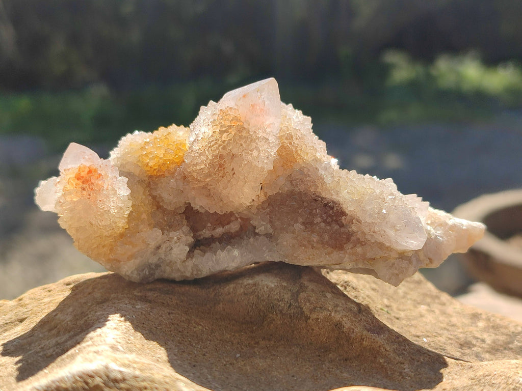 Natural Spirit Quartz Clusters x 6 From South Africa - Toprock Gemstones and Minerals 