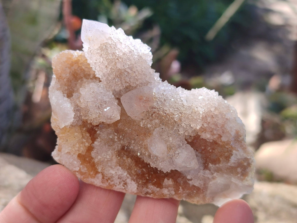 Natural Spirit Quartz Clusters x 6 From South Africa - Toprock Gemstones and Minerals 