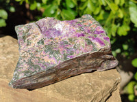 Natural Stichtite Cobbed Specimens x 9 From Barberton, South Africa