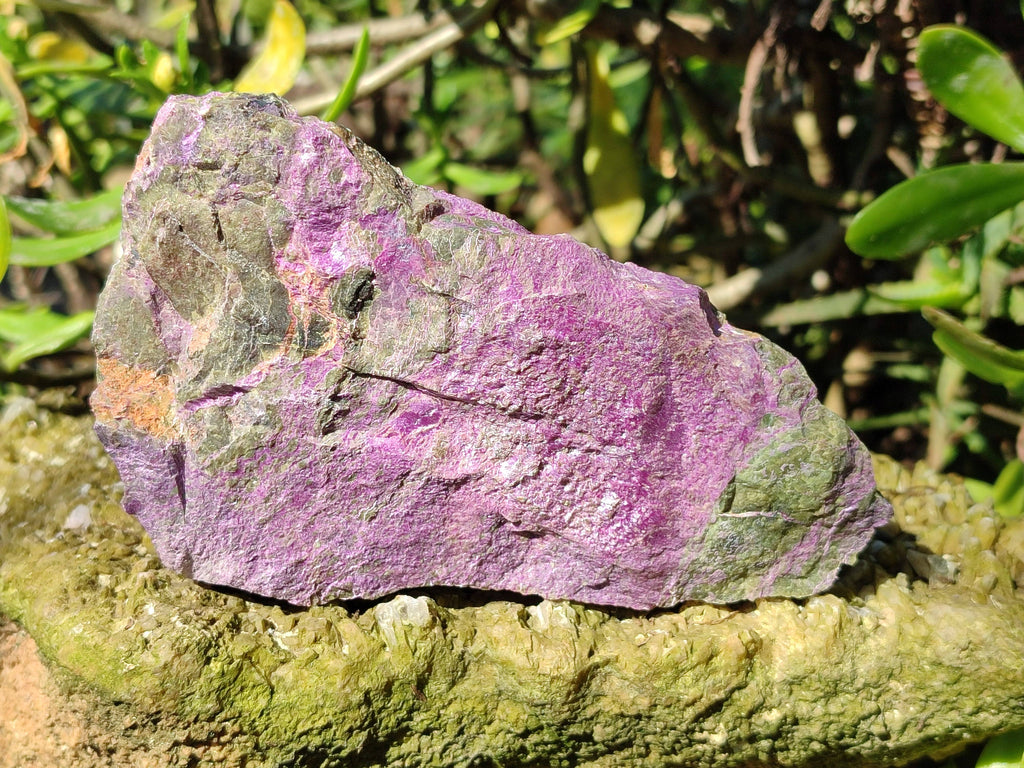 Natural Stichtite Cobbed Specimens x 9 From Barberton, South Africa - Toprock Gemstones and Minerals 