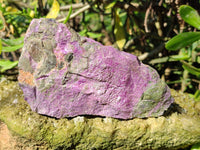 Natural Stichtite Cobbed Specimens x 9 From Barberton, South Africa