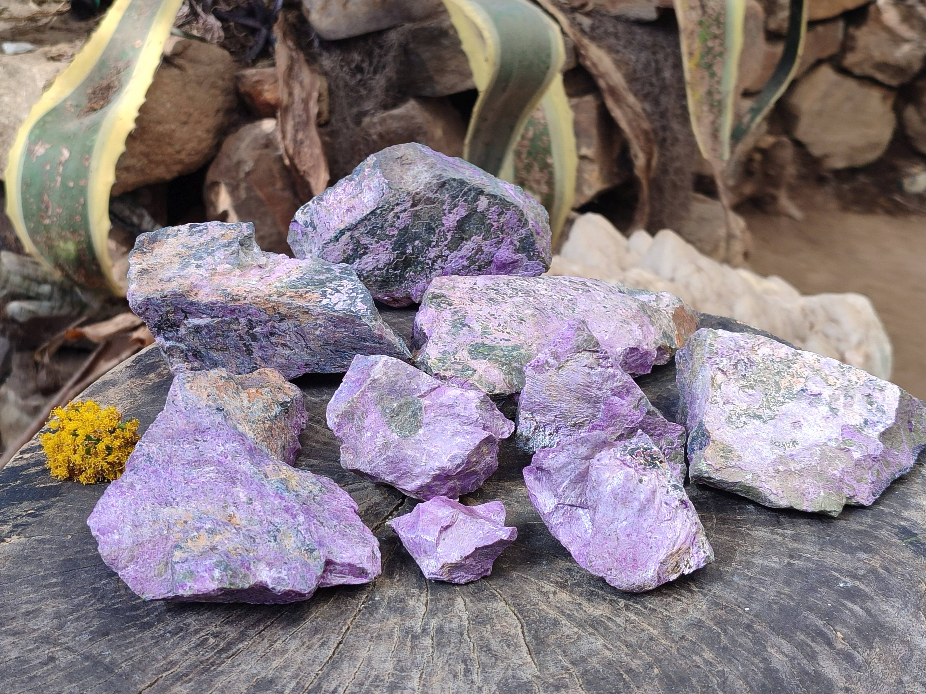 Natural Stichtite Cobbed Specimens x 9 From Barberton, South Africa - Toprock Gemstones and Minerals 