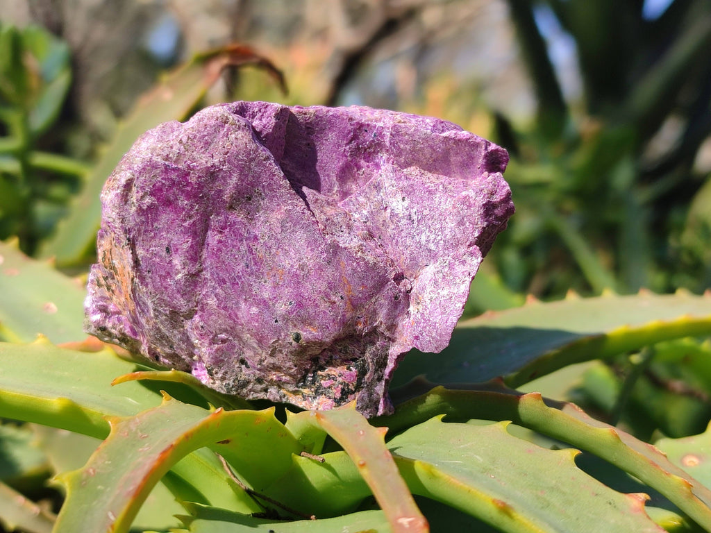 Natural Stichtite Cobbed Specimens x 9 From Barberton, South Africa - Toprock Gemstones and Minerals 