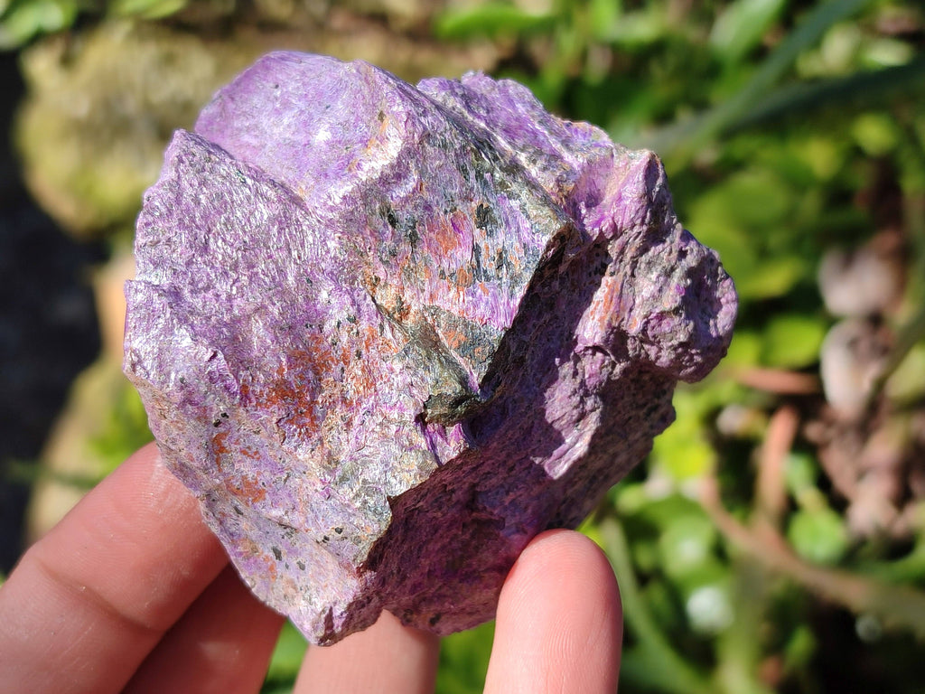 Natural Stichtite Cobbed Specimens x 9 From Barberton, South Africa - Toprock Gemstones and Minerals 