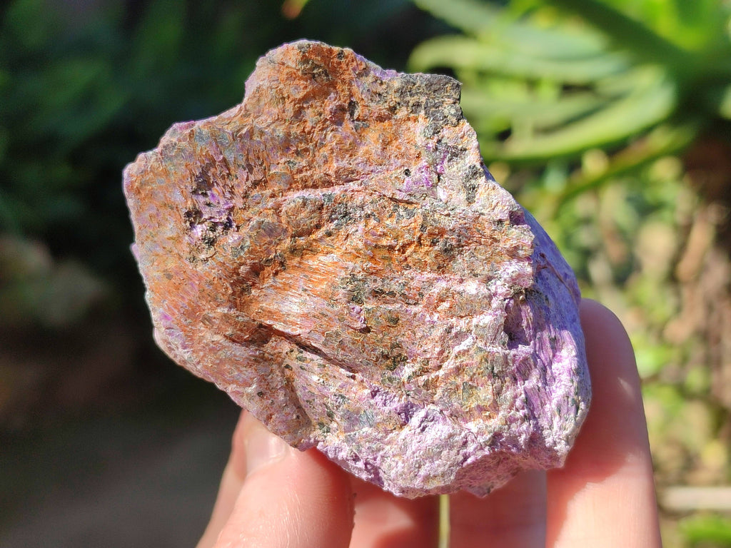 Natural Stichtite Cobbed Specimens x 9 From Barberton, South Africa - Toprock Gemstones and Minerals 