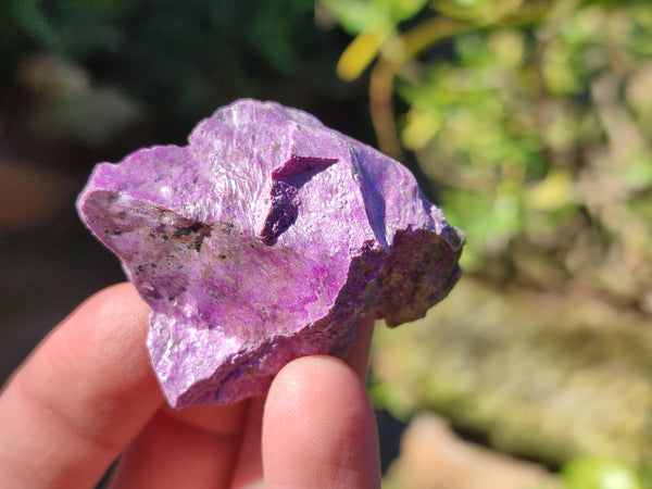 Natural Stichtite Cobbed Specimens x 9 From Barberton, South Africa