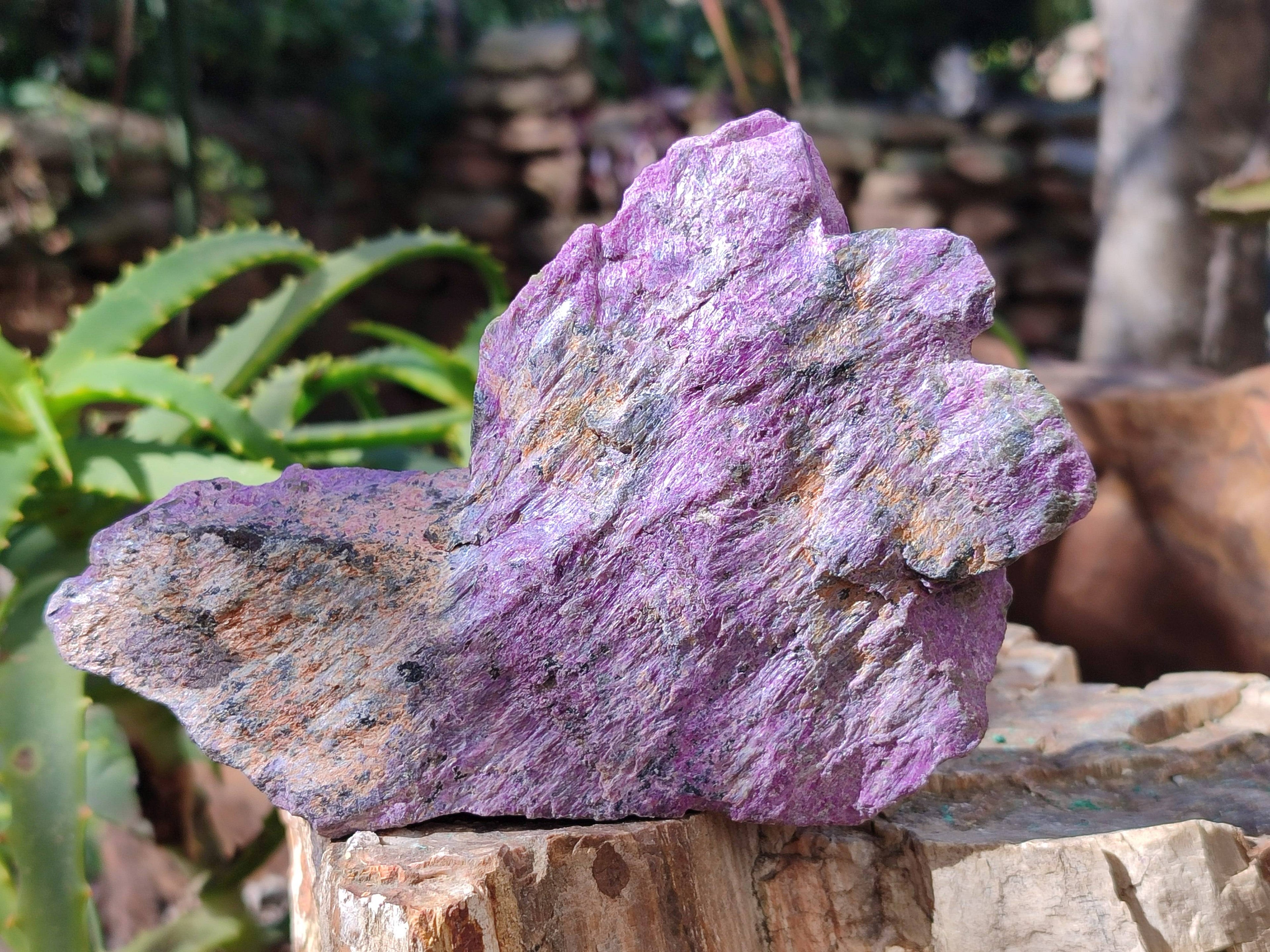 Natural Stichtite Cobbed Specimens x 9 From Barberton, South Africa - Toprock Gemstones and Minerals 