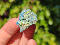 Natural Botryoidal Shattuckite Specimens x 44 From Kaokoveld, Namibia
