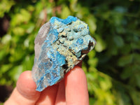 Natural Botryoidal Shattuckite Specimens x 44 From Kaokoveld, Namibia