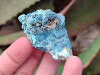 Natural Botryoidal Shattuckite Specimens x 44 From Kaokoveld, Namibia