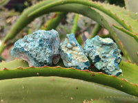 Natural Botryoidal Shattuckite Specimens x 44 From Kaokoveld, Namibia
