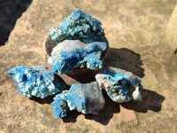 Natural Botryoidal Shattuckite Specimens x 44 From Kaokoveld, Namibia