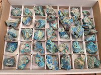 Natural Botryoidal Shattuckite Specimens x 44 From Kaokoveld, Namibia