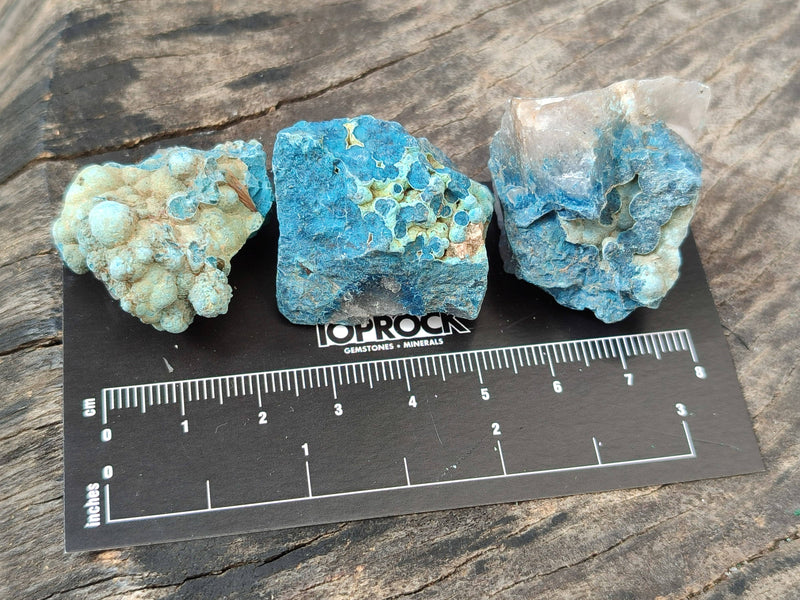 files/169840_4.jpg