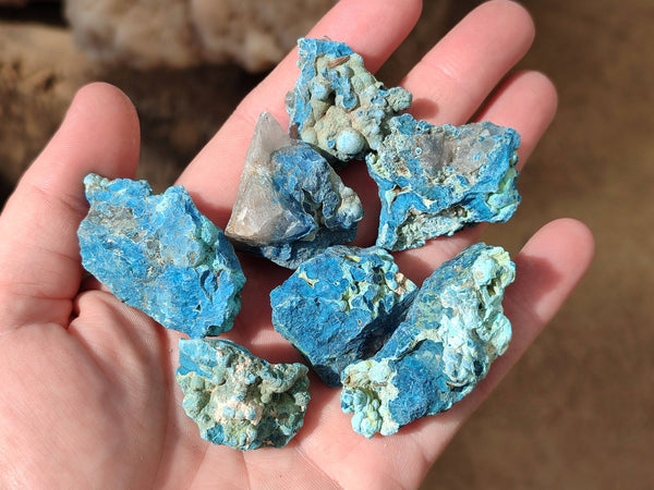 Natural Botryoidal Shattuckite Specimens x 44 From Kaokoveld, Namibia