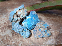 Natural Botryoidal Shattuckite Specimens x 44 From Kaokoveld, Namibia