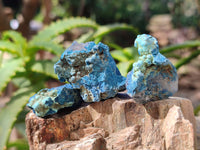 Natural Botryoidal Shattuckite Specimens x 44 From Kaokoveld, Namibia