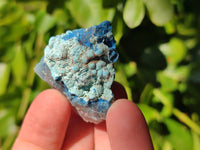 Natural Botryoidal Shattuckite Specimens x 44 From Kaokoveld, Namibia