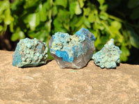 Natural Botryoidal Shattuckite Specimens x 44 From Kaokoveld, Namibia