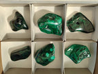 Polished Malachite Free Forms x 6 From Congo - Toprock Gemstones and Minerals 