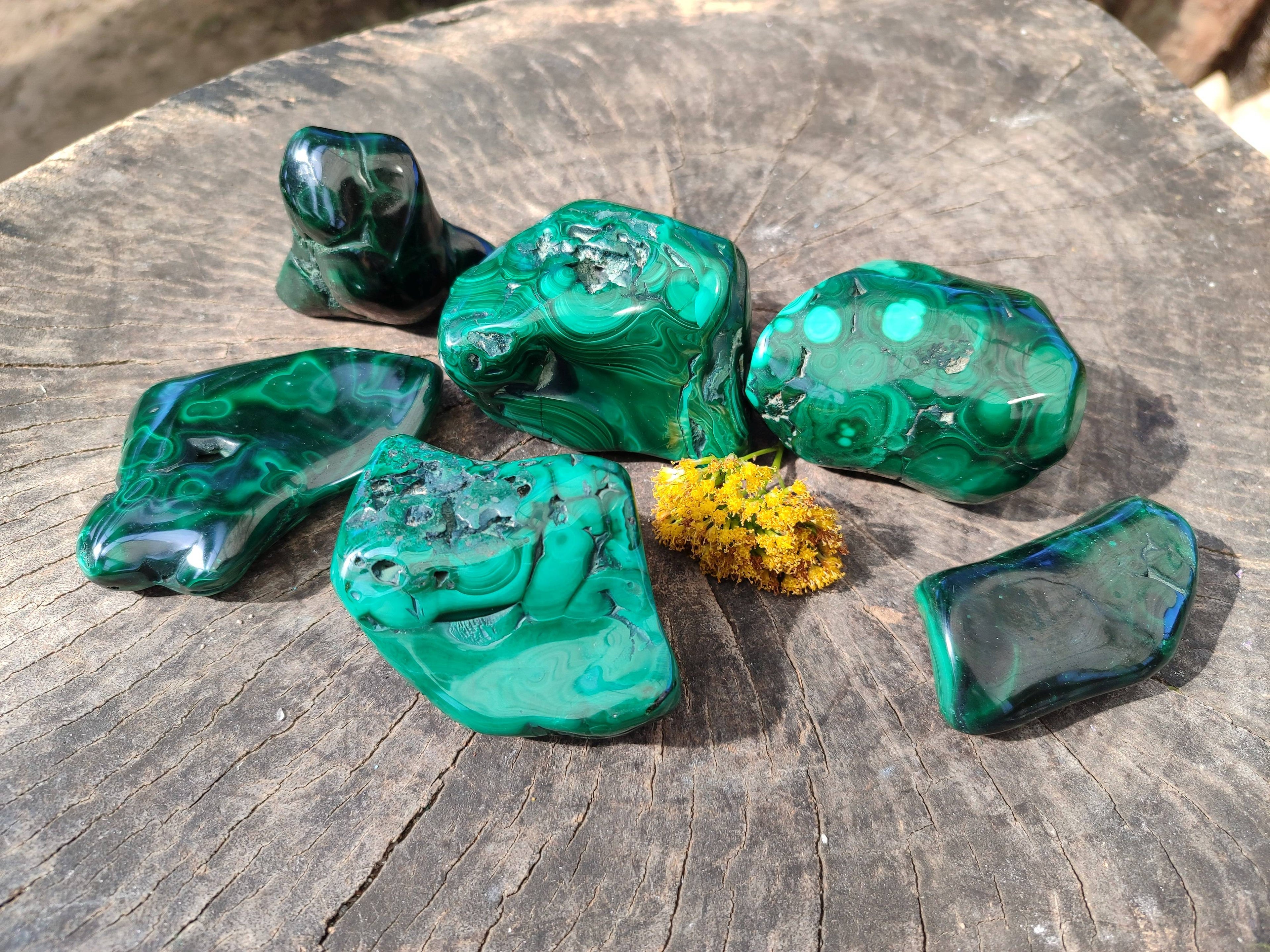 Polished Malachite Free Forms x 6 From Congo - Toprock Gemstones and Minerals 