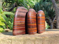 Polished Banded Tiger Iron Standing Free Forms x 3 From South Africa