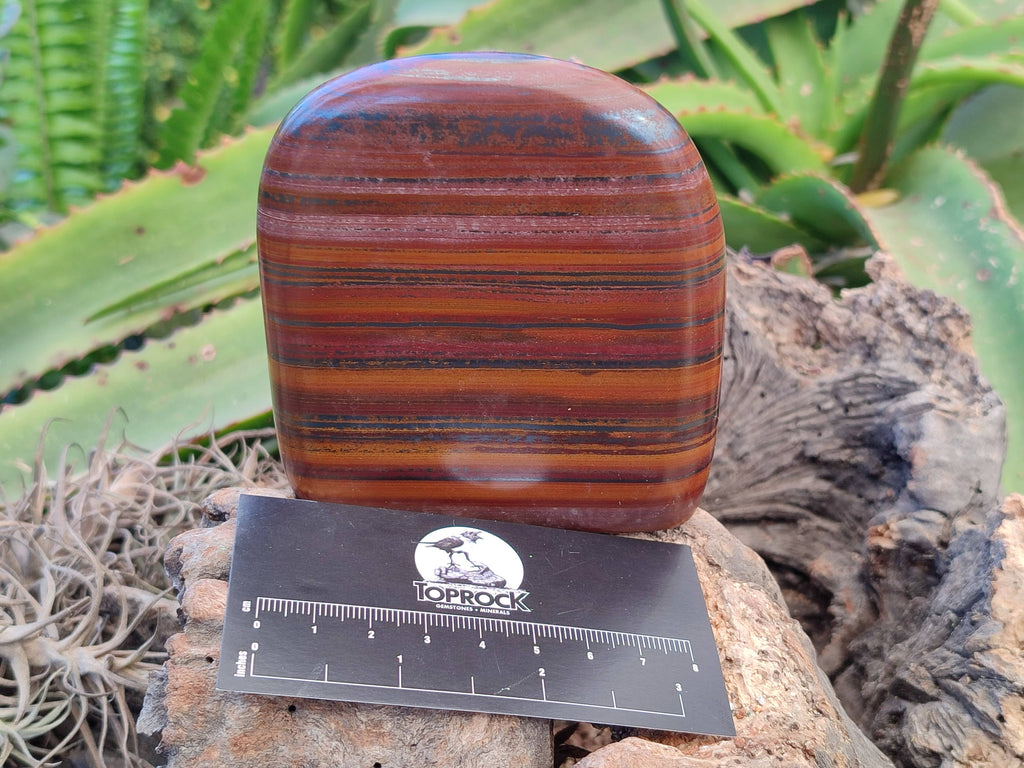 Polished Banded Tiger Iron Standing Free Forms x 3 From South Africa - Toprock Gemstones and Minerals 
