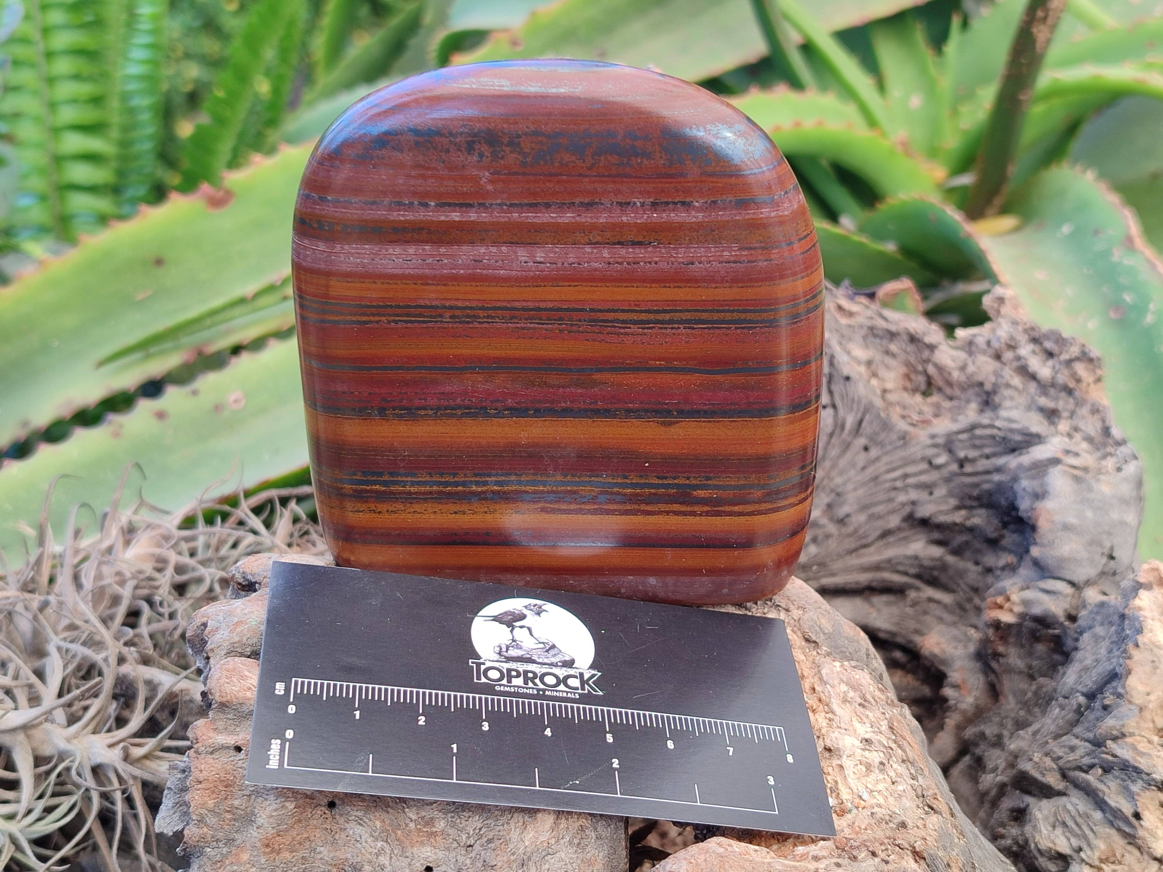 Polished Banded Tiger Iron Standing Free Forms x 3 From South Africa - Toprock Gemstones and Minerals 