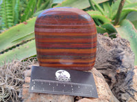 Polished Banded Tiger Iron Standing Free Forms x 3 From South Africa
