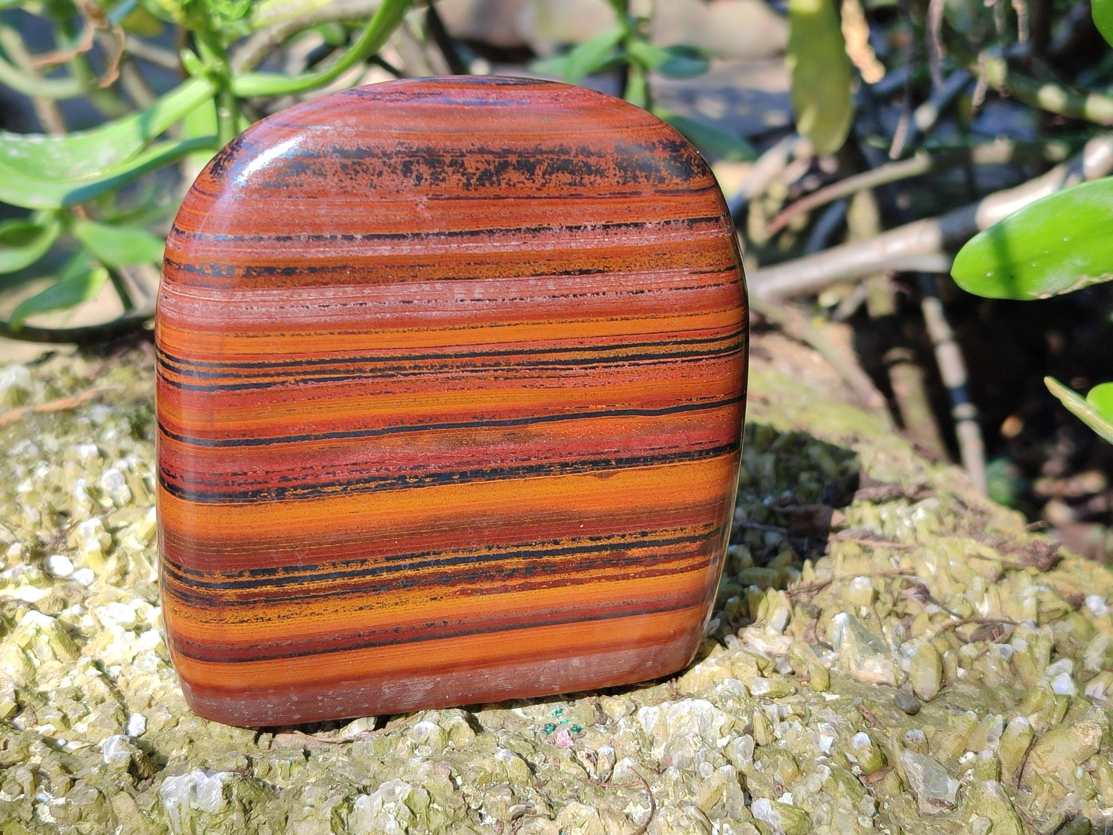 Polished Banded Tiger Iron Standing Free Forms x 3 From South Africa - Toprock Gemstones and Minerals 