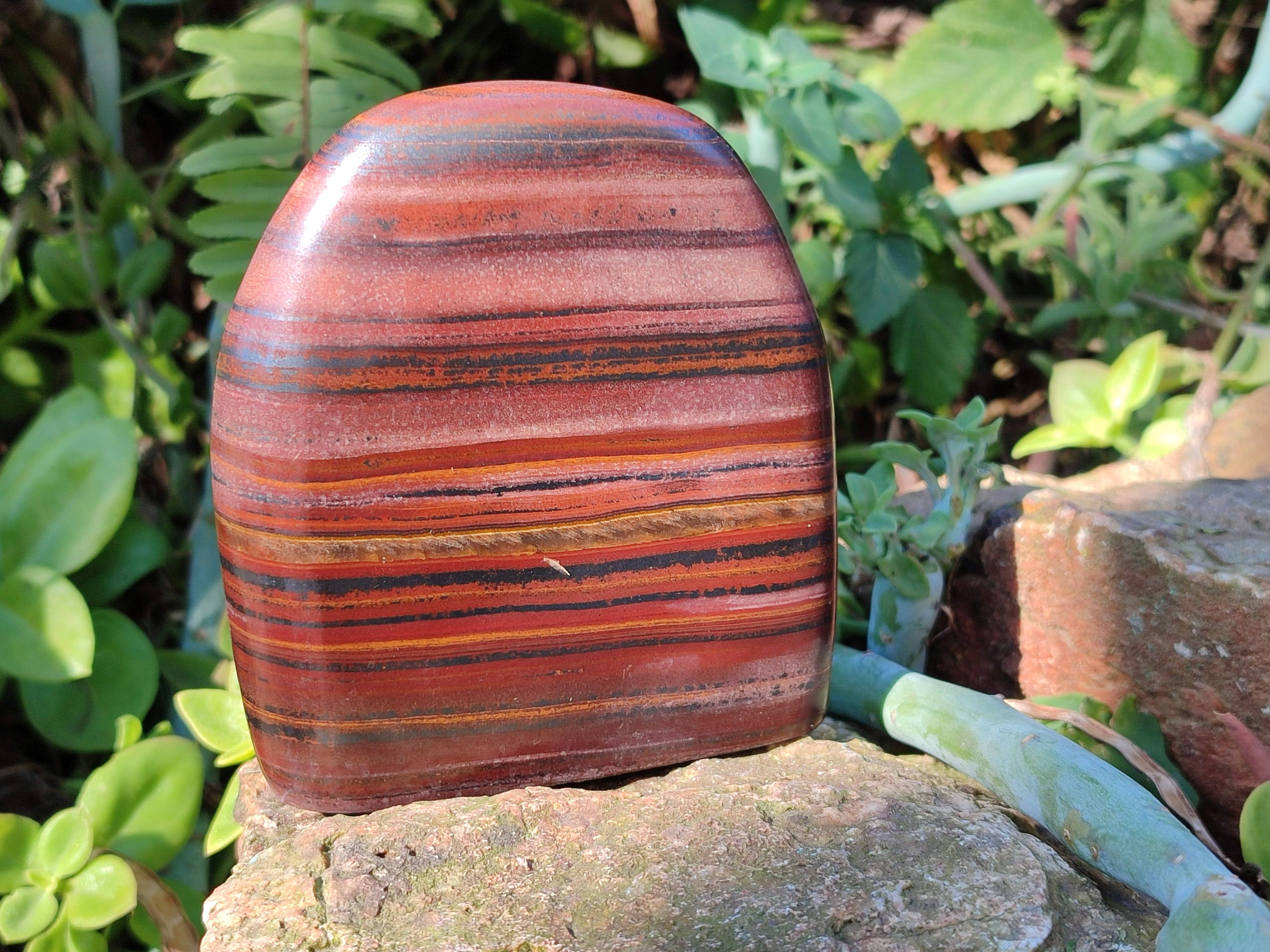 Polished Banded Tiger Iron Standing Free Forms x 3 From South Africa - Toprock Gemstones and Minerals 