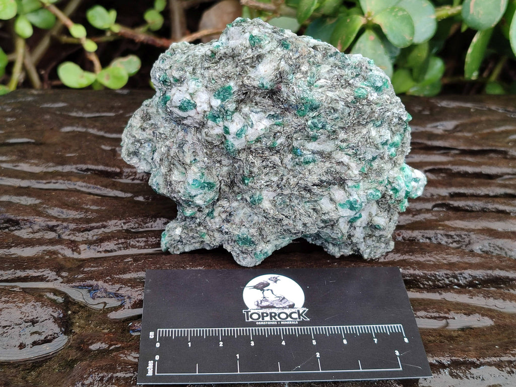 Natural Emerald Mica 'Mutokolite' Specimens x 5 From Mutoko, Zimbabwe - Toprock Gemstones and Minerals 