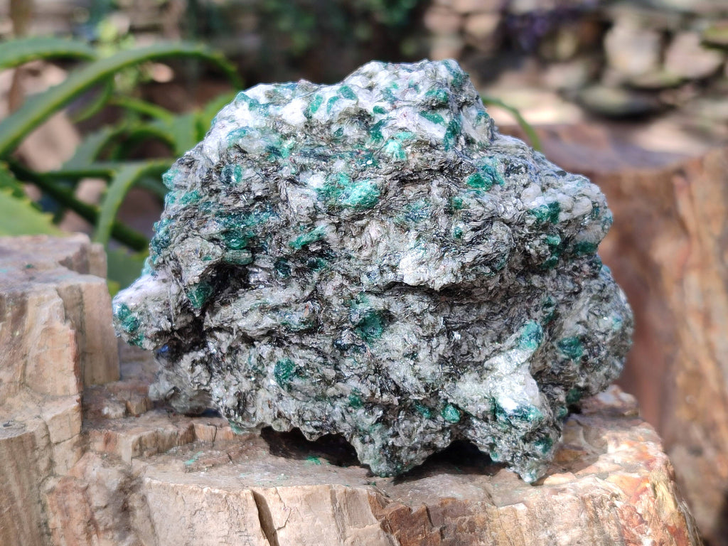 Natural Emerald Mica 'Mutokolite' Specimens x 5 From Mutoko, Zimbabwe - Toprock Gemstones and Minerals 
